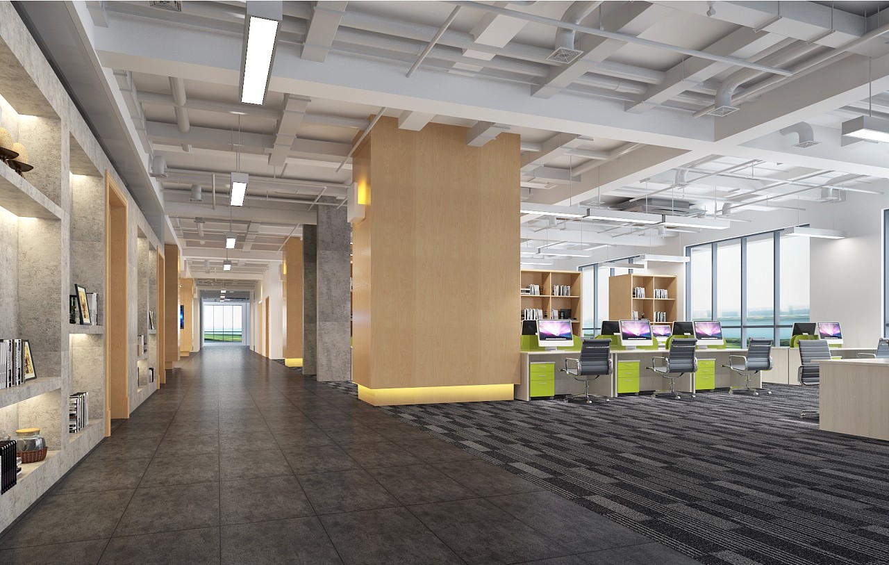 辦公室擺放發(fā)財(cái)樹(shù)位置的風(fēng)水講究