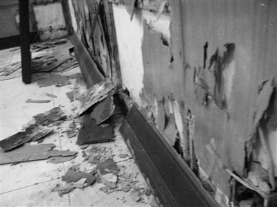 白蟻的危害，每年造成的直接經(jīng)濟(jì)損失在3000萬元以