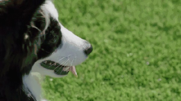 2017年＊流行，是時候給你點綠色瞧瞧了～