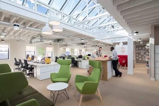 150億市場潛力，辦公室裝修也要開始考慮狗狗的感受了