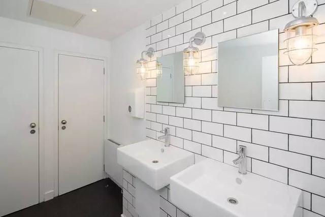 150億市場潛力，辦公室裝修也要開始考慮狗狗的感受了